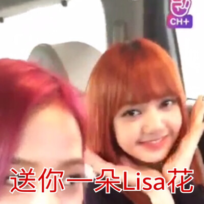 lisa表情包