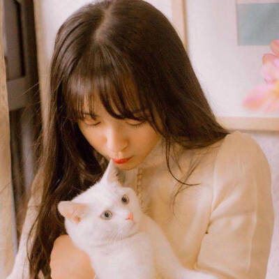 抱猫女头鸭
