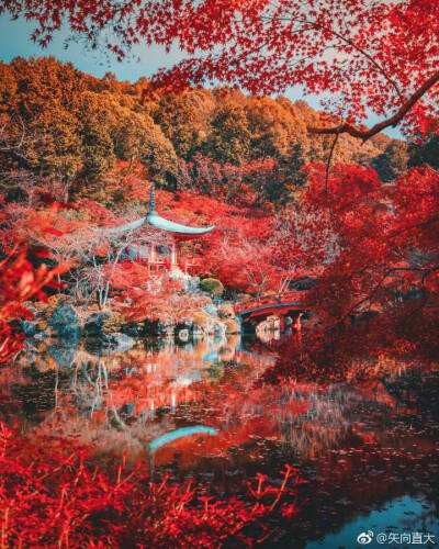 京都红叶 堆糖 美图壁纸兴趣社区