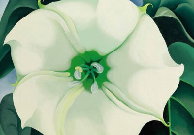 乔治亚·欧姬芙(georgia o"keeffe)曼陀罗