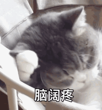 脑阔疼 