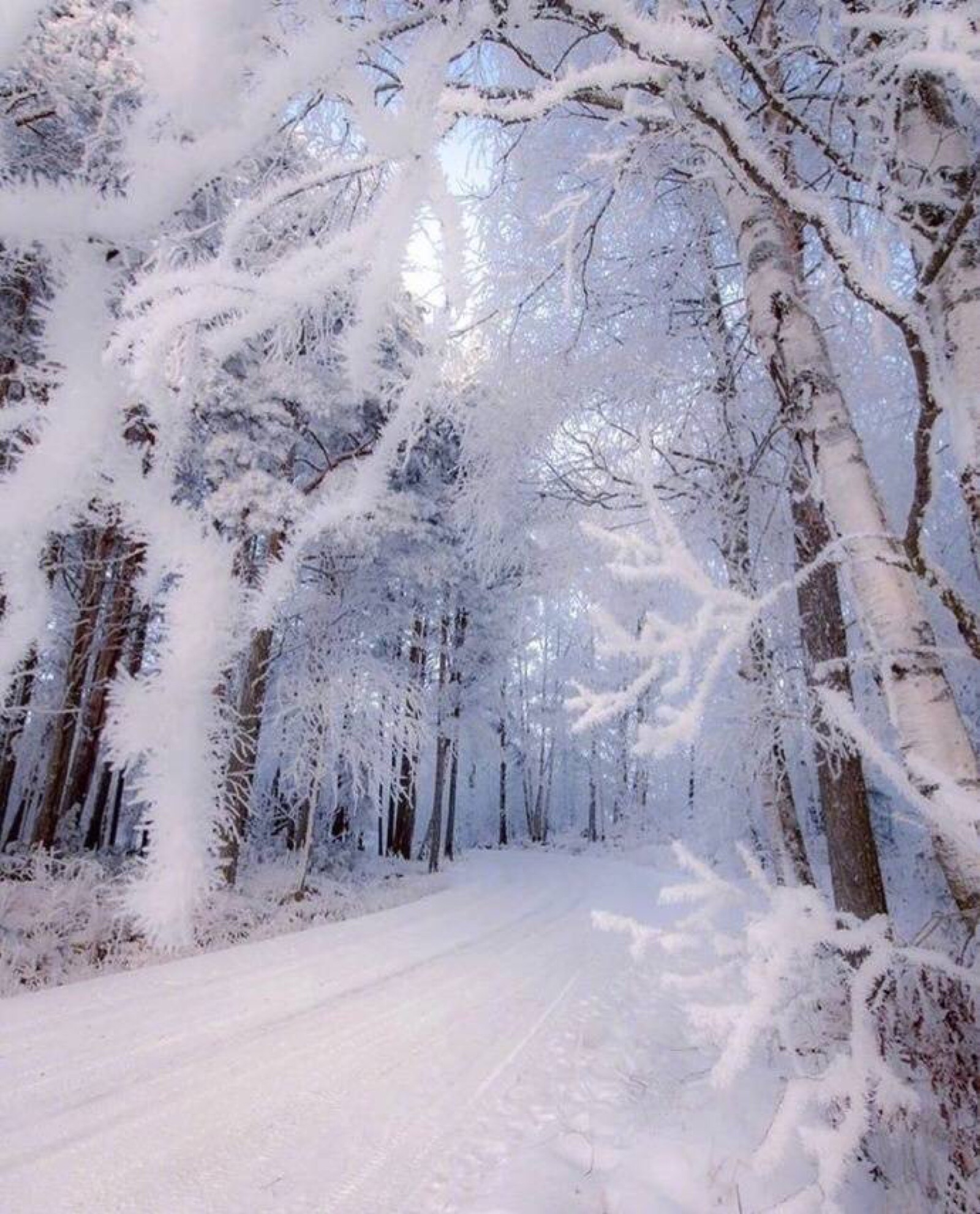 芬兰lapua的雪景让你去住一个月,愿意吗 堆糖,美图壁纸兴趣社区