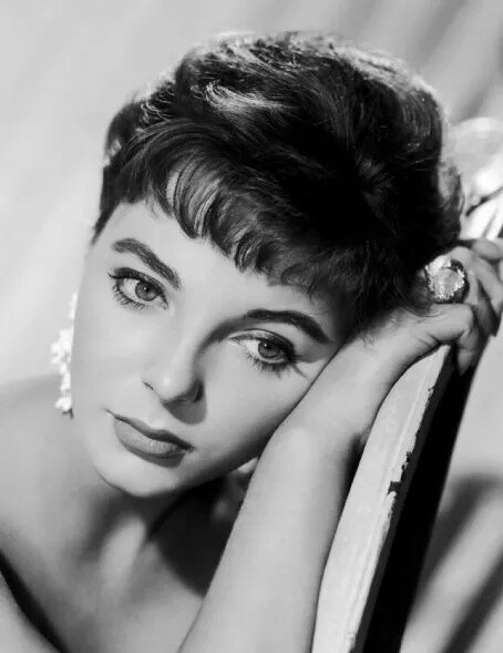 琼柯琳斯 joan collins