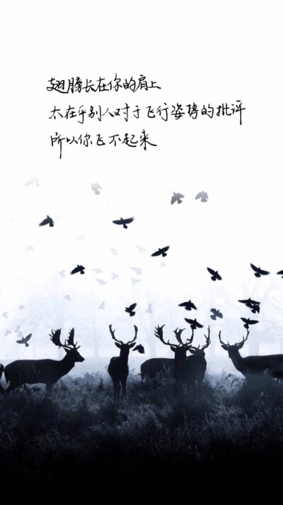 社会
