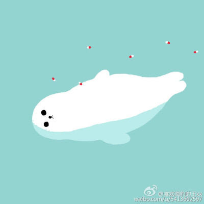 海豹 头像