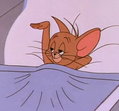 猫和老鼠