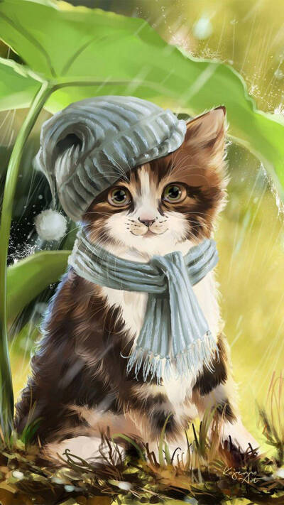 猫咪