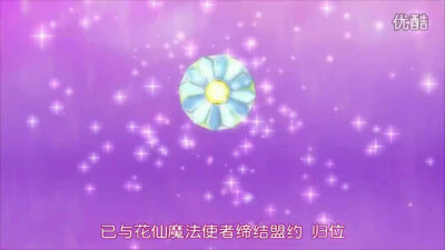小花仙精元穆回