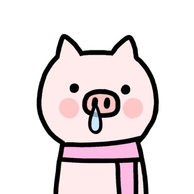 猪年小猪动物情头.