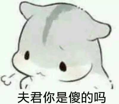 夫妻表情包