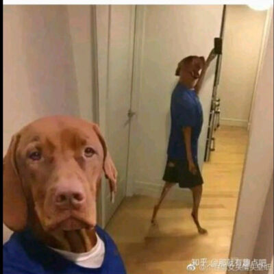 沙雕头像搞笑头像