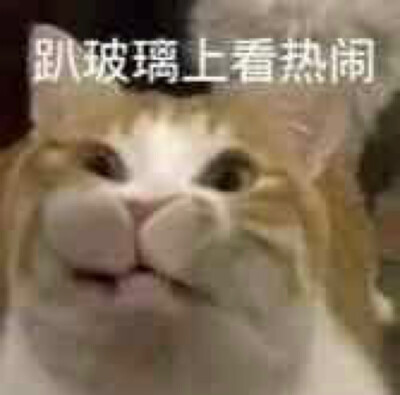 表情包/高糊/高清/熊猫头/猫咪/截图表情/可爱/卖萌/套路/柴犬/沙雕