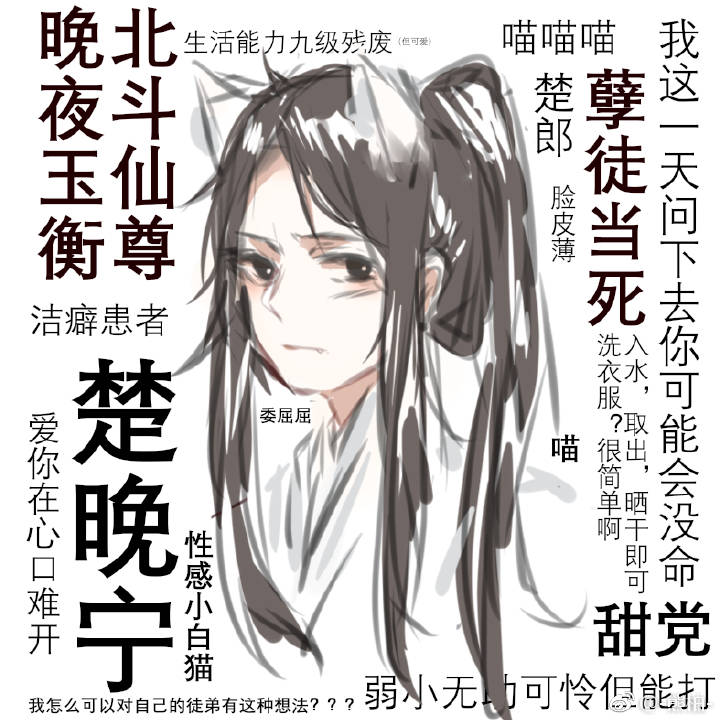 二哈和他的白猫师尊