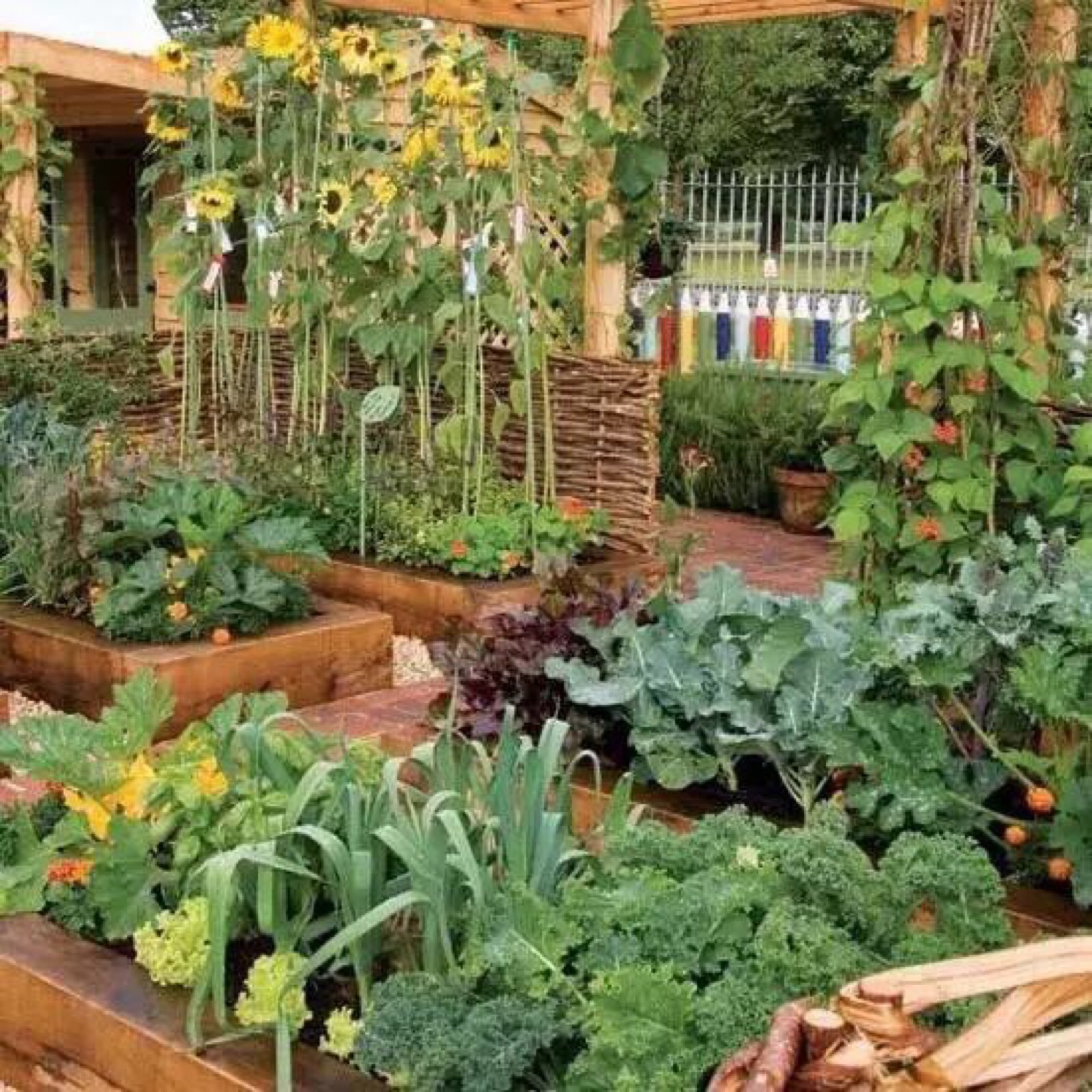 小菜园里话丰收——常州美丽乡村建设有奇招，种菜一样能绿美|绿美|常州|美丽乡村_新浪新闻