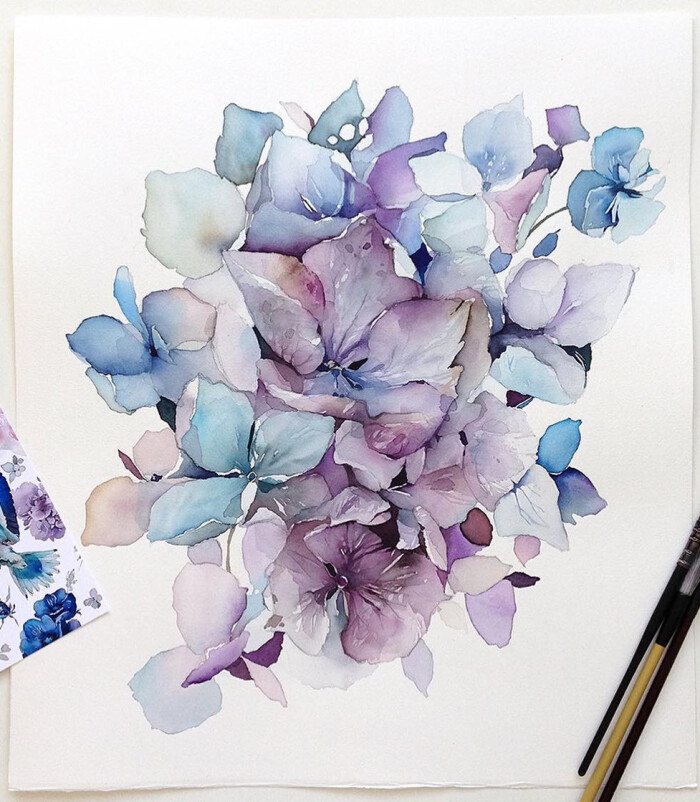 水彩 植物绘画 花 插画师ins@kadantseva_natalia