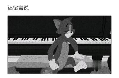 猫和老鼠
