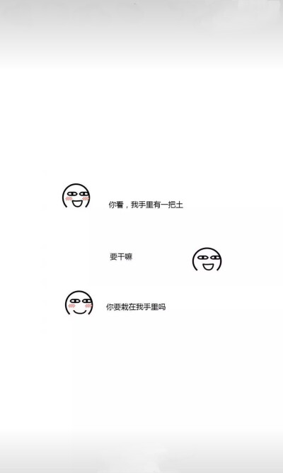 土味情话 壁纸