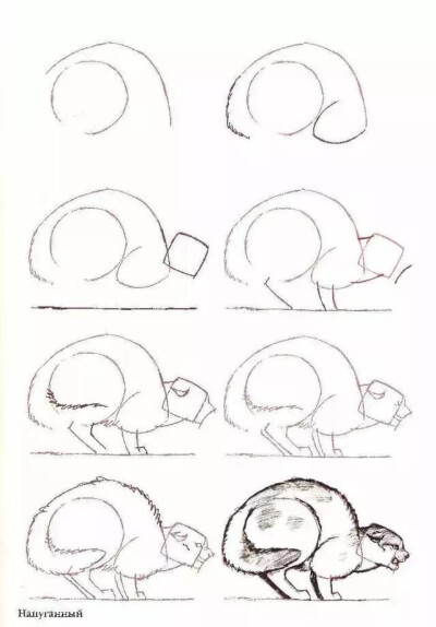 动物画复杂