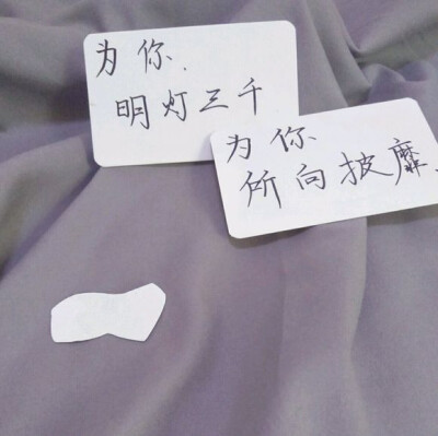 阔爱婷の举牌素材