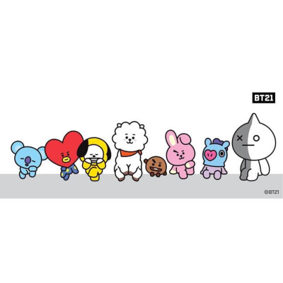 bt21 金硕珍