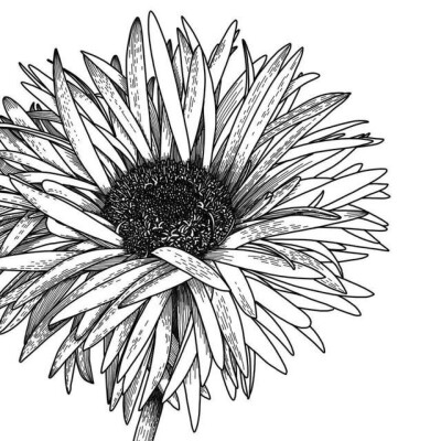 描画 堆糖 美图壁纸兴趣社区 描画 堆糖 美图壁纸兴趣社区