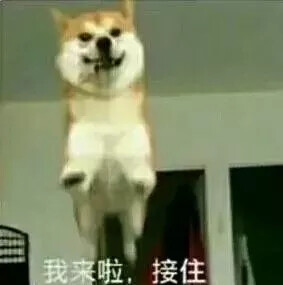 情头沙雕
