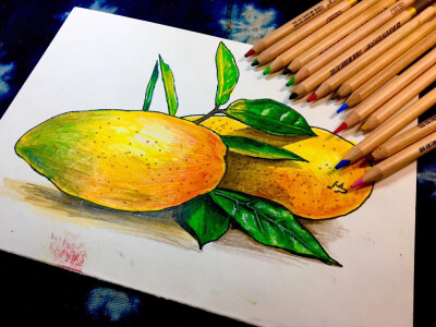 线描 儿童画 速写 静物 写生 芒果 水果 苹果 黄瓜 青椒 猕猴桃 香蕉