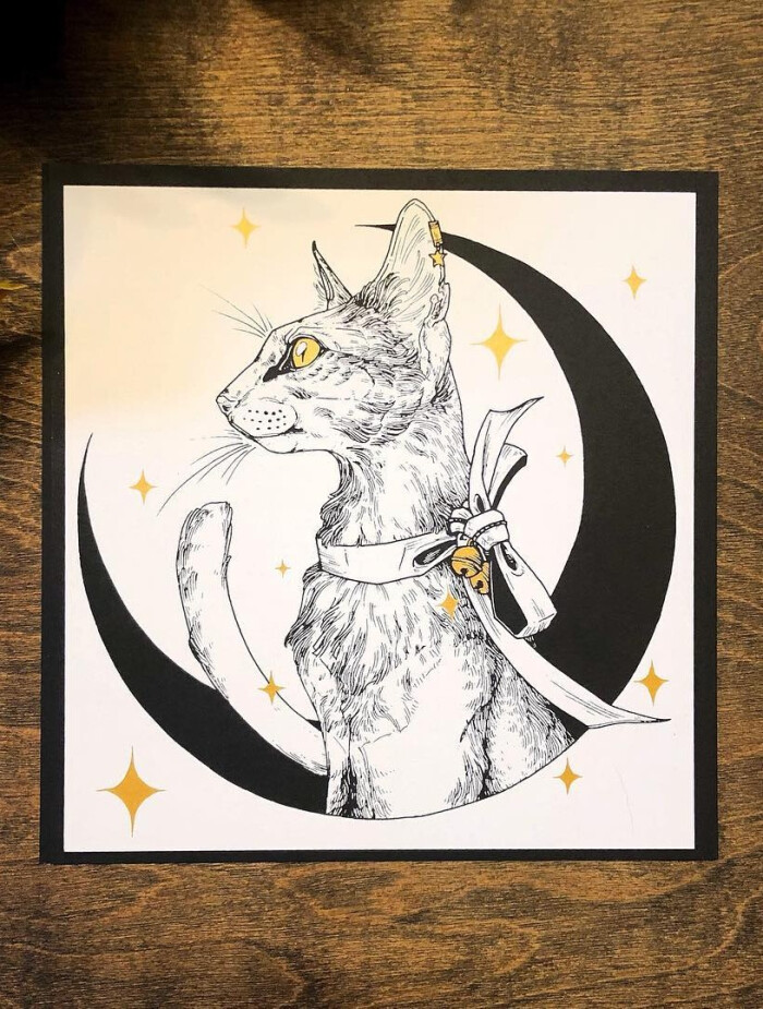 线描 动物绘画 插画 猫 黑白