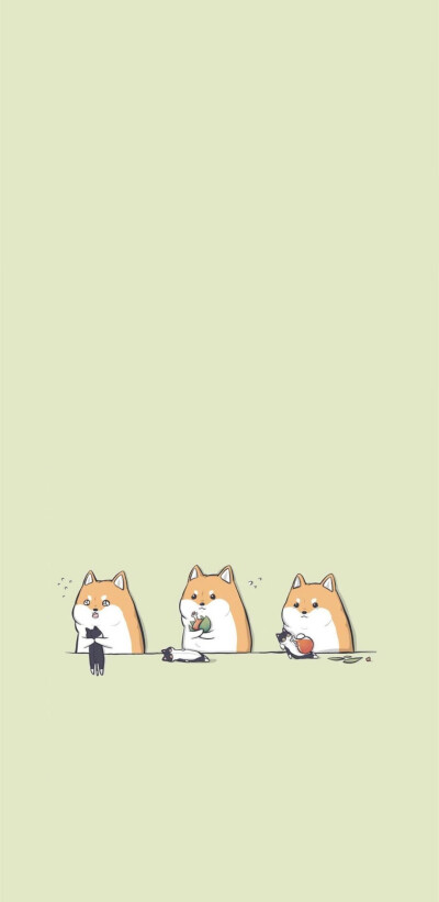 柴犬壁纸