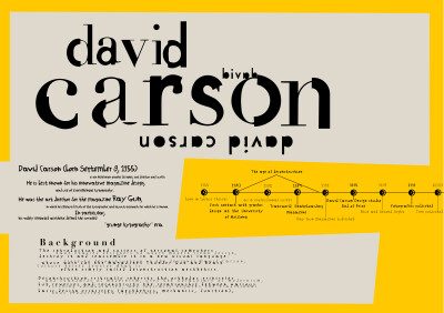 这是根据david carson 的作品风格进行制作的风格版,设计展宣传手册