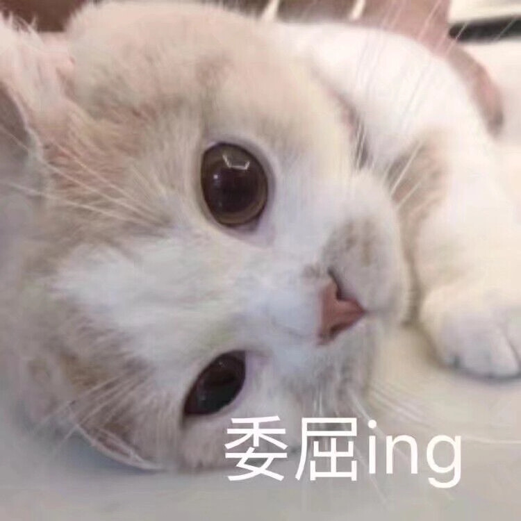 一组可爱的软妹表情包