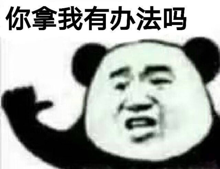 沙雕熊猫头