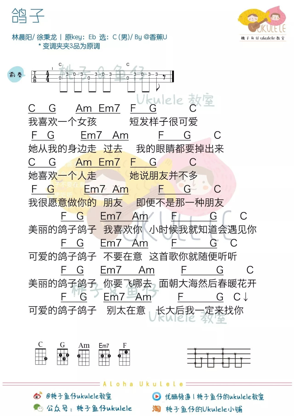 鸽子徐秉龙曲谱_鸽子吉他谱徐秉龙