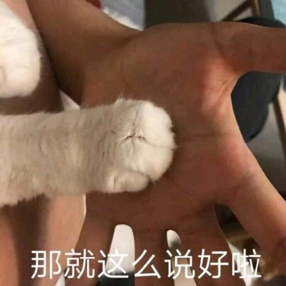 沙雕表情包 - 堆糖,美图壁纸兴趣社区