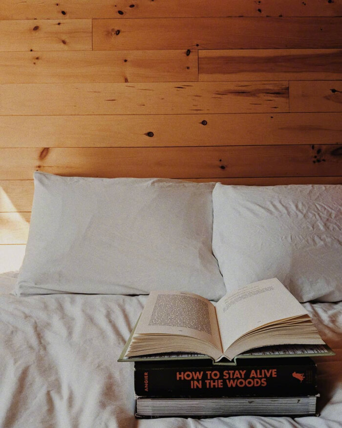 小木屋的读书生活。ins:piesnprose