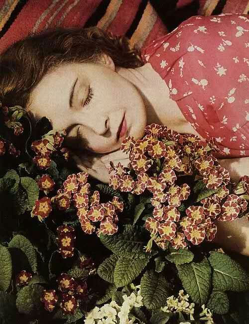 lillian gish 1893-1993年