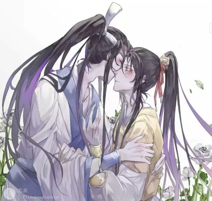 蓝思追金凌