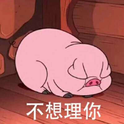 猪猪表情包