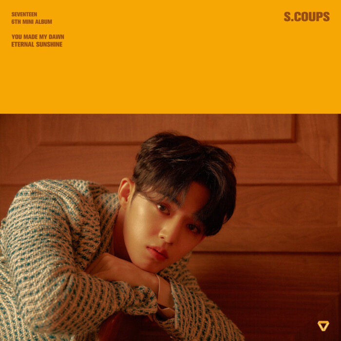 seventeen s.coups 崔胜澈