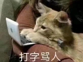打字骂人