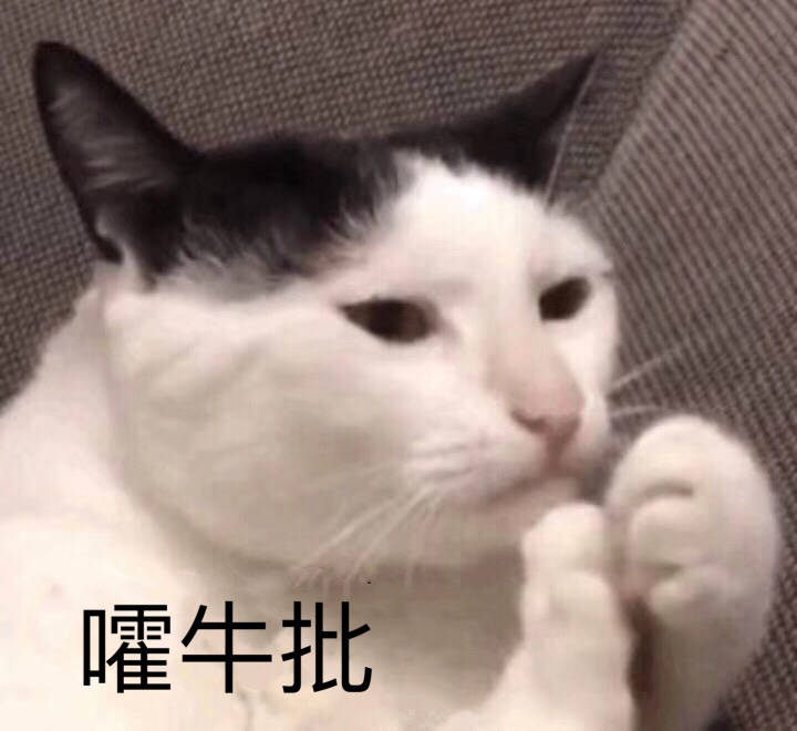 可爱超萌猫猫表情包