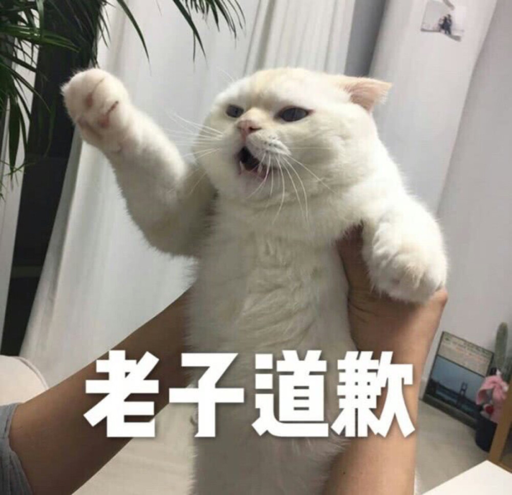 情侣表情包
