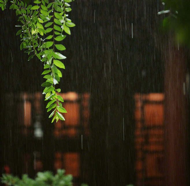 夜来微雨洗芳尘,公子骅骝步贴匀.