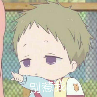 小虎太郎