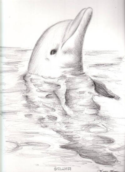 儿童素描,素描动物