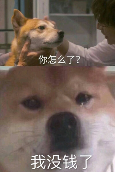 你没钱了