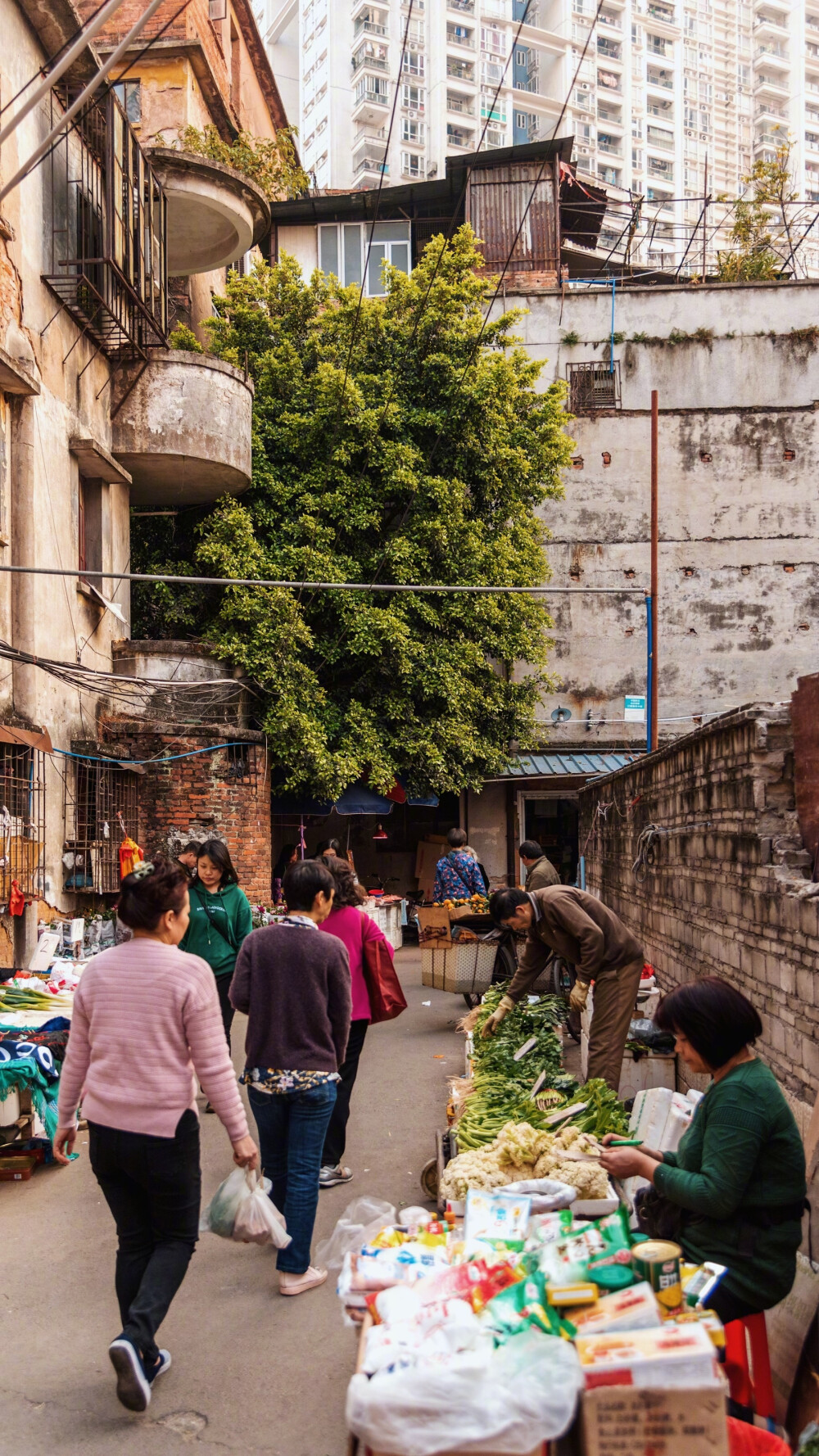 广州 海珠 小巷子里的菜市场