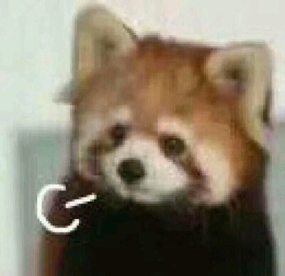唉:-( (叹气)