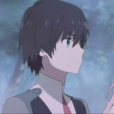 darling情侣头像,国家队02和广情侣头像 darling in the franxx头像