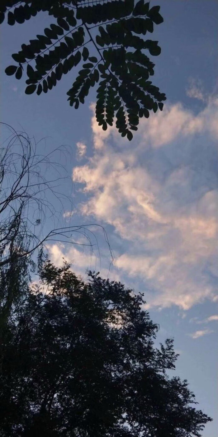 壁纸ins
